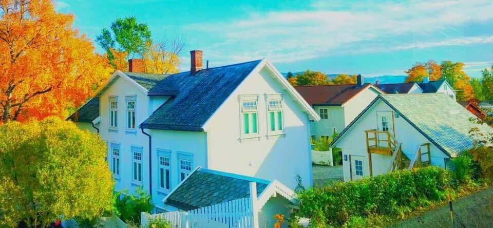Bo I Historisk Bygning, Kort Vei Til Sentrum تروندهايم المظهر الخارجي الصورة